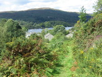 Looking down on Coniston Water from the rise behind the cottage