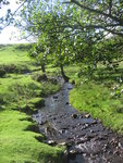 Stream ready for paddling