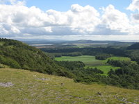 View from just above the tree line towards Grange-over-Sands