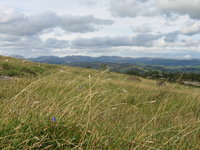 View of the eastern lake district fells 