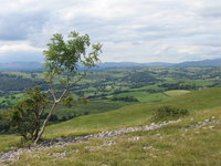 Northwards view along Scout Scar