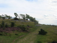 Huge pile of stones