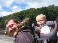 Matthew meets the tropical screech owl