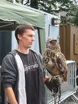 European eagle owl