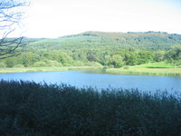 The view from the train window