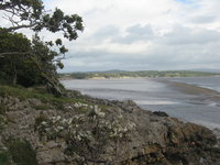 Magnolia and Far Arnside