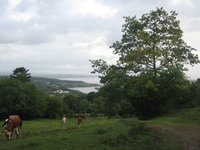 Looking down on Far Arnside