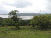 View from Arnside Knott