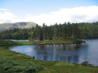 Tarn Hows