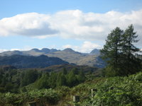 Views north of Tarn Hows