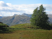 Views north of Tarn Hows