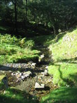 Stream west of Tarn Hows