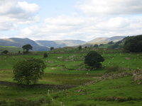 View from Craggy Wood