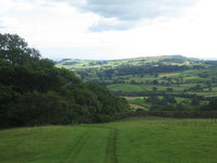 Track alongside the stream