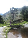 Helen on the footbridge at Blea Tarn