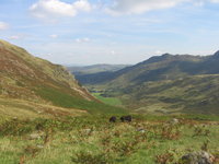 View down from lunch