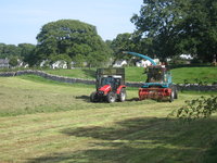 Hay harvest