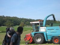 Matthew watching the hay harvest