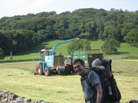 Matthew watching the hay harvest