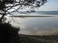 Looking out from Silverdale