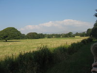 Fields from the train