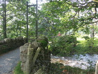 Suspension bridge