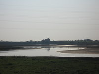 Estuary reflections