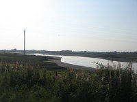 Estuary from the train