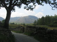 Gate to the bridge