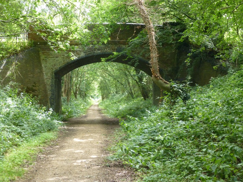 Bridge on Marriott Way