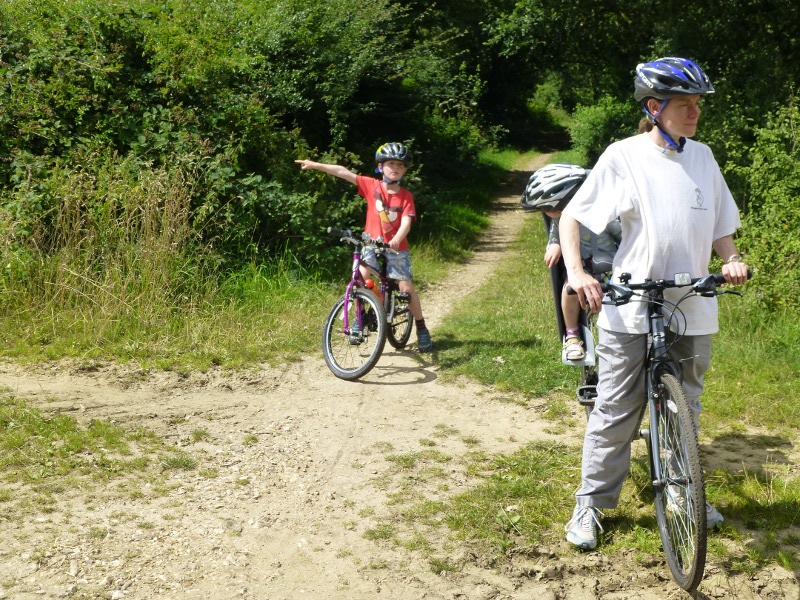 Family cycle