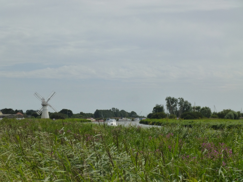 River Thurne