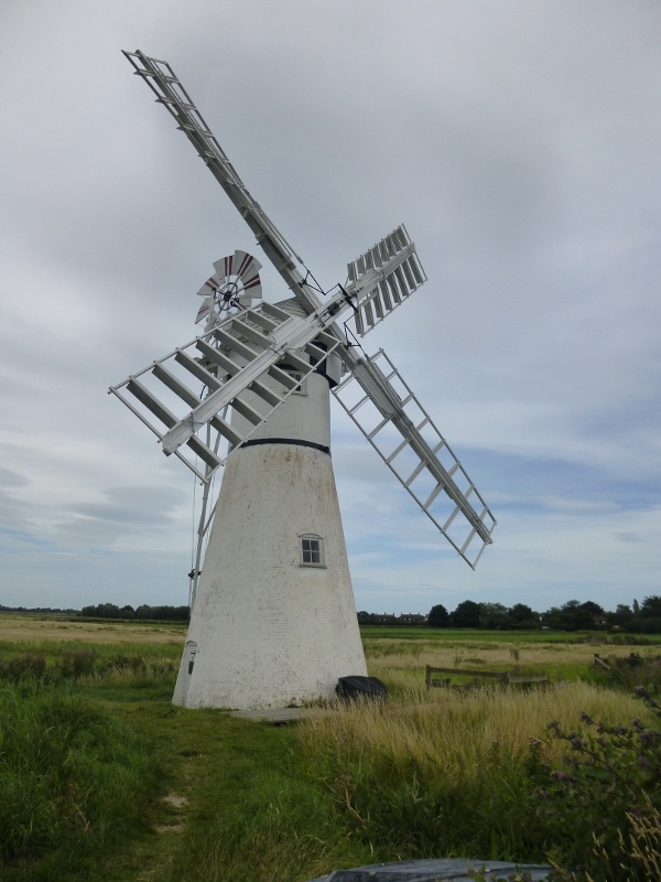 Windmill at Thurne