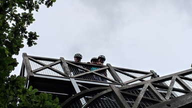 Looking over the top of the gazebo