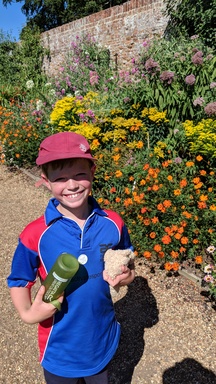 Matthew in the walled garden