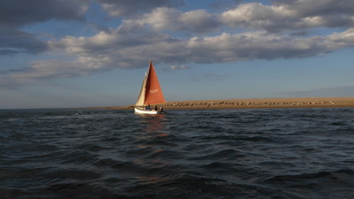 Boat and Seals