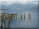 Birds on the ruined pier