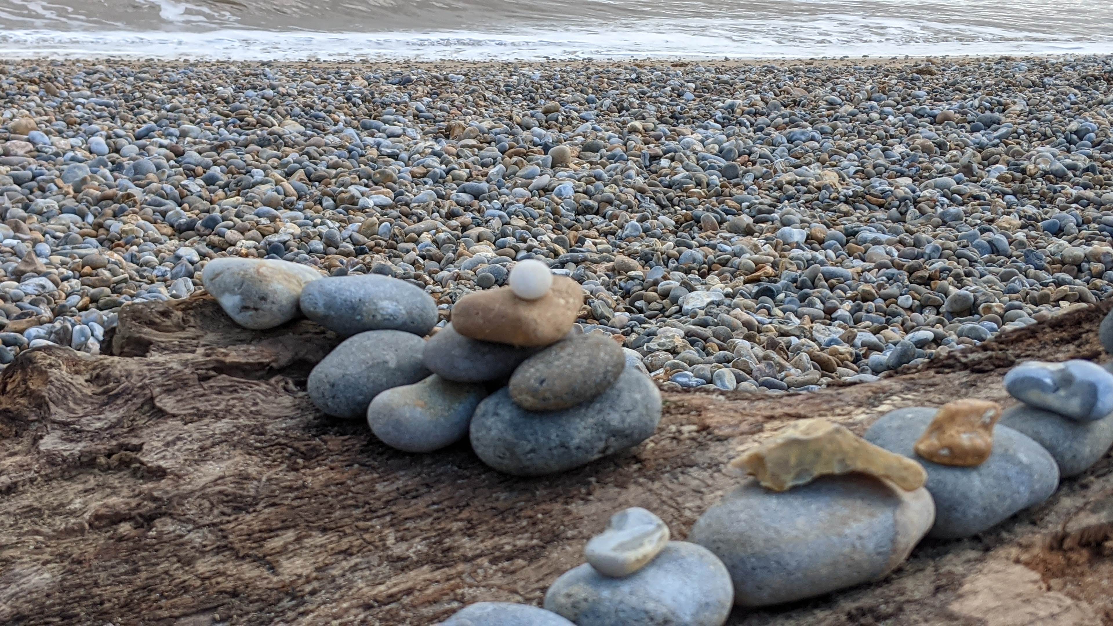 stones on driftwood
